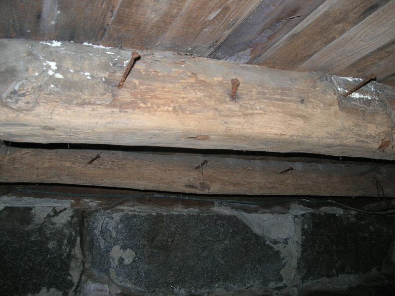 Photo #8